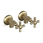 Cascade Washing Machine Tap Pr, Cross in Raw Brushed Brass