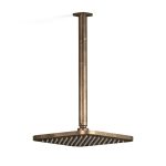 Zeos Ceiling Shower in Antique Brass Light