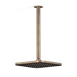 Zeos Ceiling Shower in Discovery Bronze