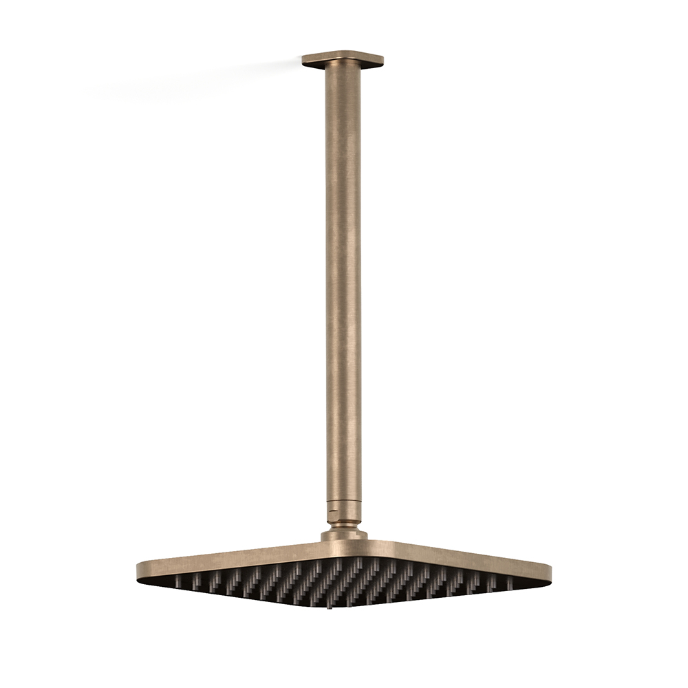 Zeos Ceiling Shower in Discovery Bronze