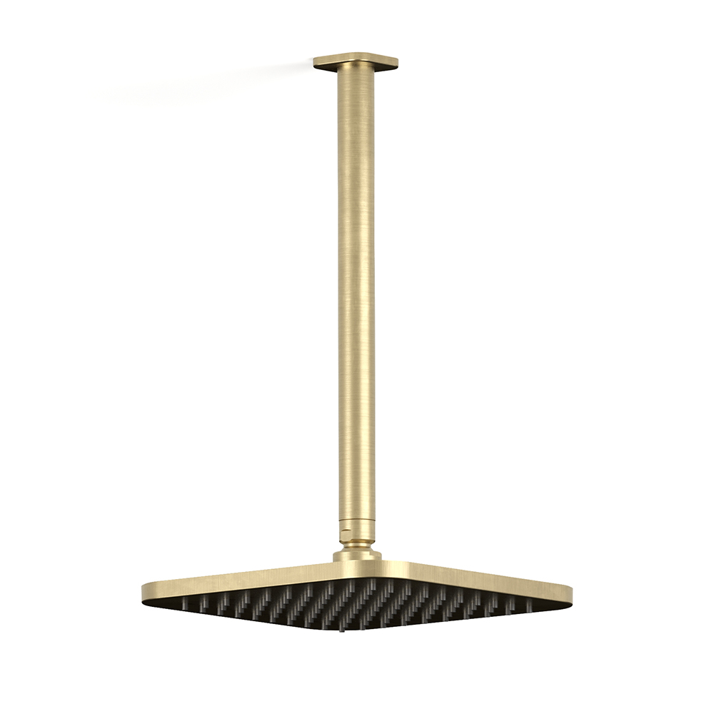Zeos Ceiling Shower in Raw Brushed Brass