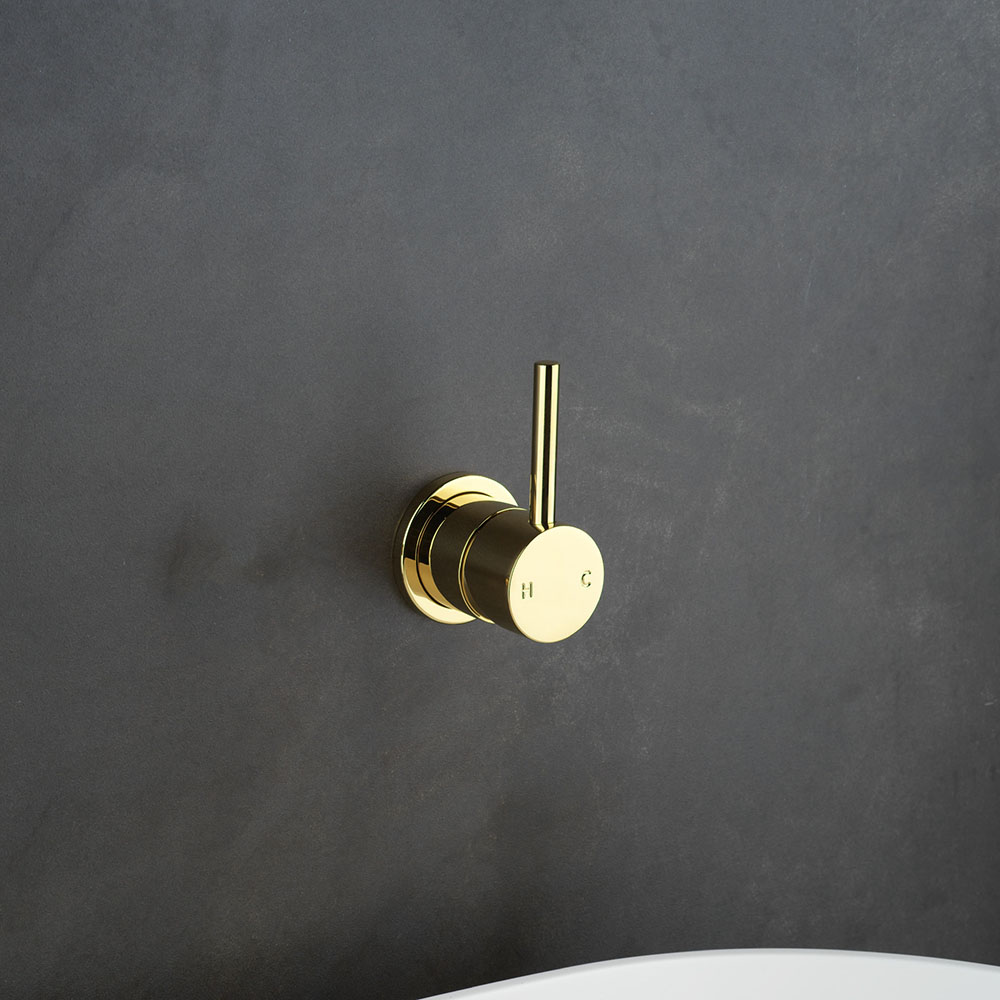 Polished Liberty Gold