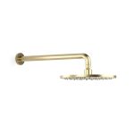 Pegasi Overhead Shower 400 Wa 250head in Raw Brushed Brass