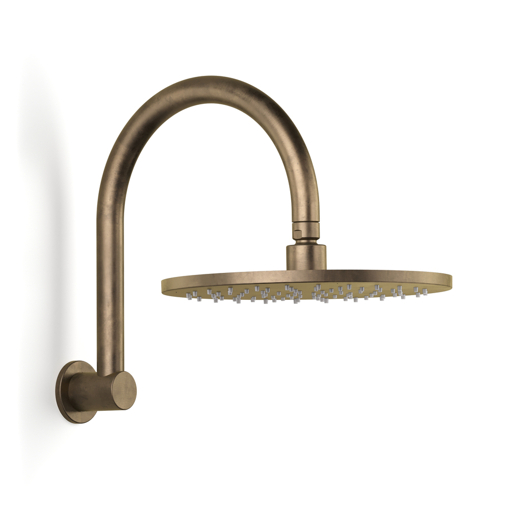 Pegasi Overhead Shower Hcurve 250head in Antique Brass Light