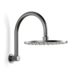 Pegasi Overhead Shower Hcurve 250head in Brushed Graphite