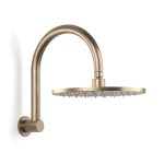 Pegasi Overhead Shower Hcurve 250head in Discovery Bronze