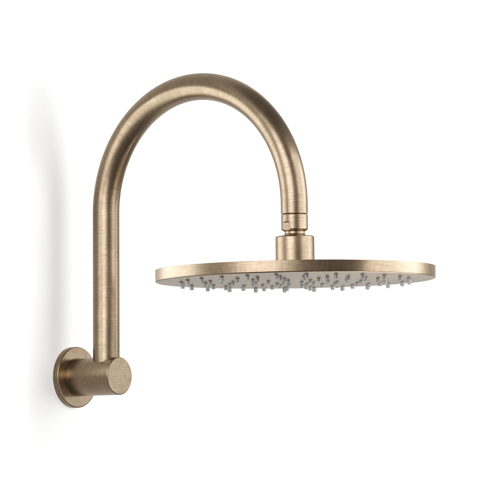 Pegasi Overhead Shower Hcurve 250head in Discovery Bronze