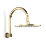 Pegasi Overhead Shower Hcurve 250head in Raw Brushed Brass