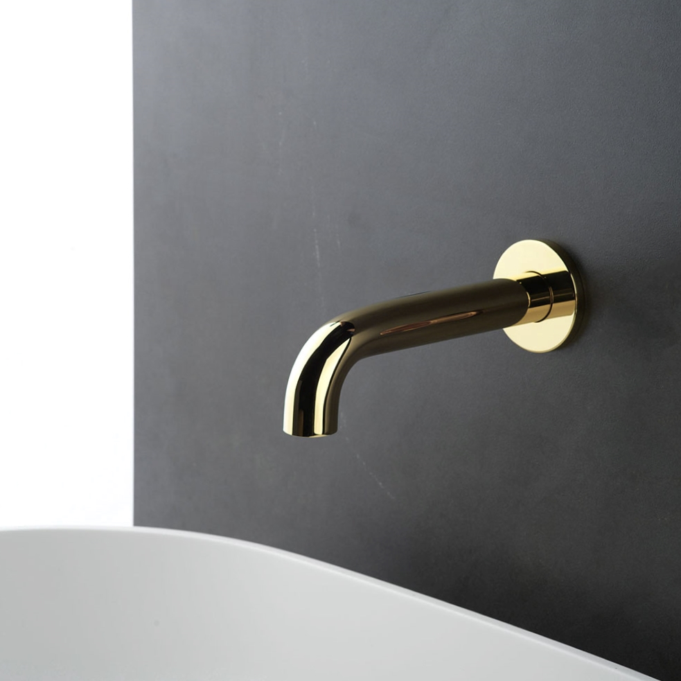 Polished Liberty Gold